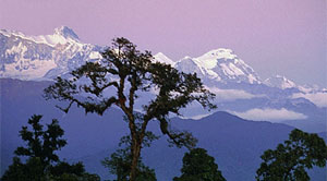 Annapurna Base Camp Trekking